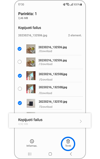 Dubliuojamų failų peržiūra su paryškintais failais ir mygtuku „Trinti“ visus.