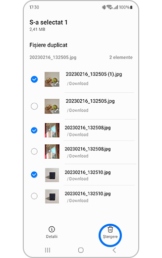 Vizualizarea fișierelor duplicate cu fișierele și butonul Ștergere tot evidențiate.