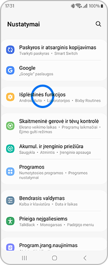 „Nustatymų“ ekrano, kuriame bakstelėtas elementas „Išplėstinės funkcijos“, vaizdas.