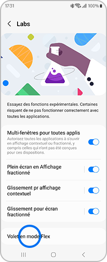 Aperçu de l’écran « Labs » avec l’option « Volet en mode Flex ».