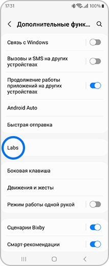 Вид экрана «Дополнительные функции» с выбором пункта «Labs».