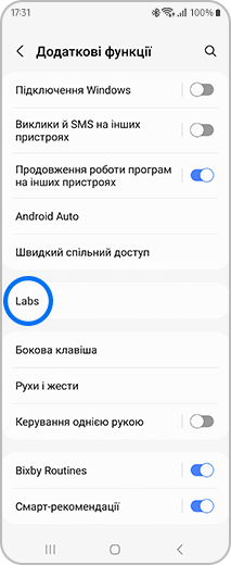 Вигляд екрану «Додаткові опції» з натиснутою кнопкою «Labs».