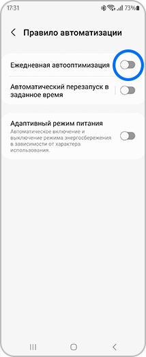 Вид экрана «Правила оптимизации» с выделенным переключателем «Ежедневная автооптимизация».