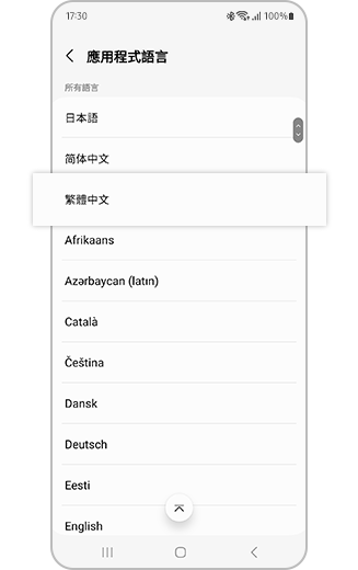 語言選項的示意圖。