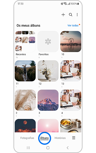 Vista do separador Álbuns na galeria.
