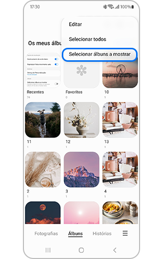 Vista da funcionalidade Selecionar álbuns a mostrar em Mais opções.