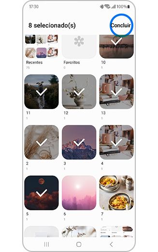 Vista dos álbuns selecionados para serem mostrados na galeria.