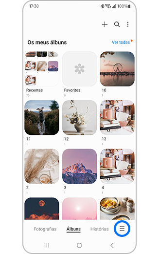 Vista do ícone de Mais opções na secção Álbuns.