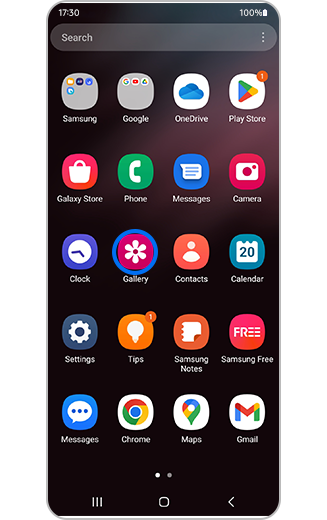 View of Gallery app icon on home screen.