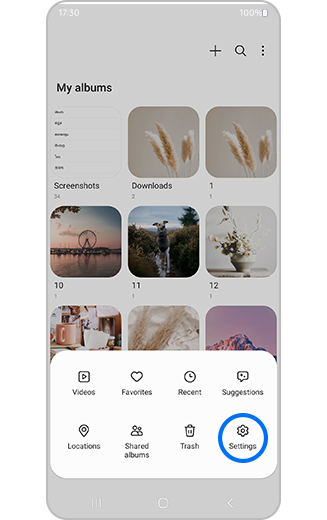 View of Gallery settings icon highlighted.
