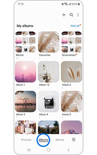 View of Albums tab in the gallery.