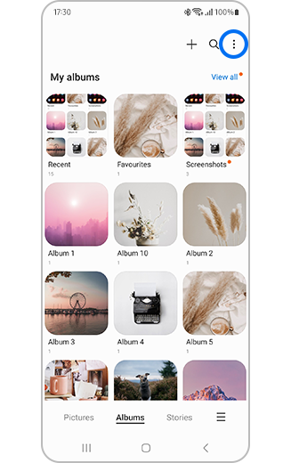 View of More options icon in the album section.