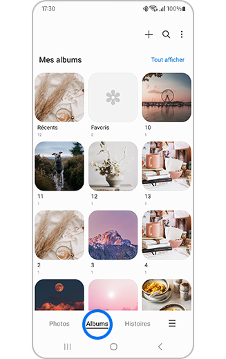 Aperçu de l'onglet Albums dans la galerie.