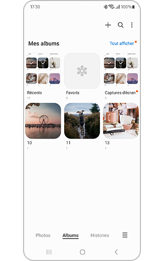 Aperçu des albums sélectionnés une fois que le processus de sélection est terminé.