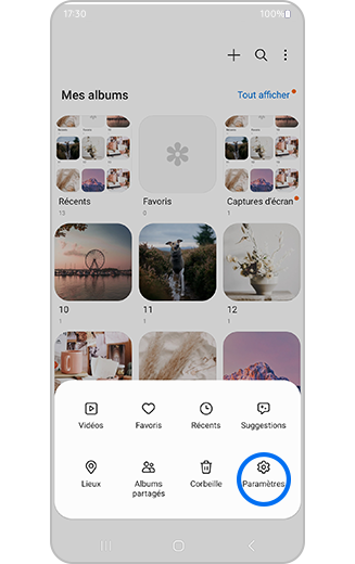 Aperçu de l'icône paramètres de la Galerie dans le dossier plus d'options de la galerie.