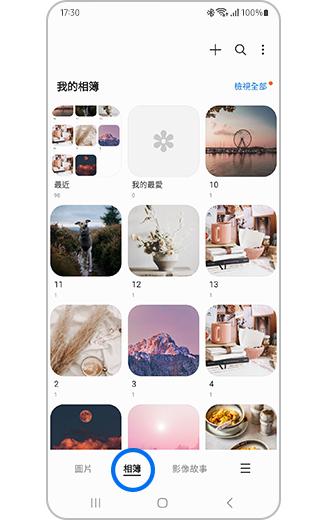 在「媒體瀏覽器」中顯示「相簿」分頁的示意圖。