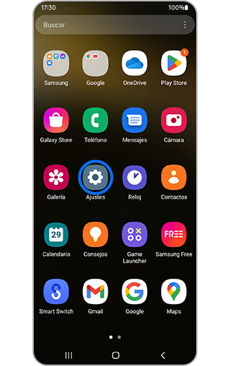 Vista del íicono de ajustes.