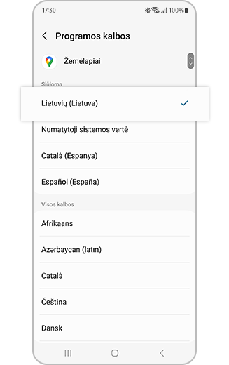 Kalbų pasirinkimo parinkčių rodinys.