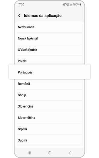 Vista das opções de seleção do idioma.