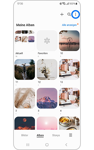 Ansicht des Symbols „Weitere Optionen“ im Bereich „Alben“.