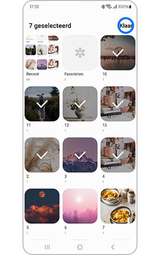 Weergave van albums die geselecteerd zijn voor weergave in de galerij.
