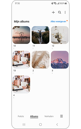 Weergave van geselecteerde albums wanneer het selectieproces voltooid is.