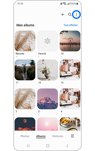 Aperçu de l'icône Plus d'options dans la section albums.