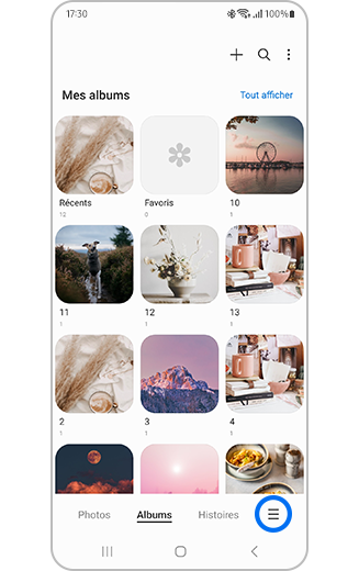 Aperçu de l'icône Plus d'options dans la section albums.