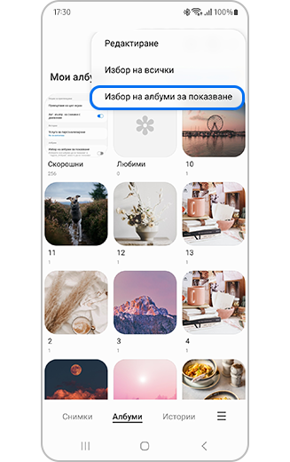 Изглед на функцията за избор на албуми за показване с още опции.