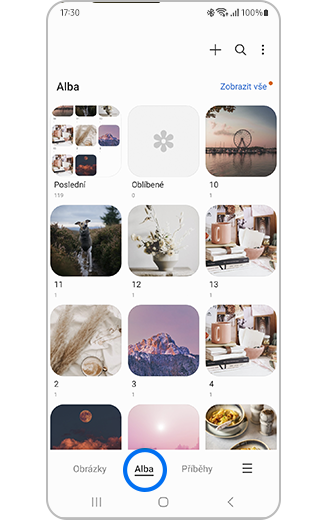 Karta Alba v Galerii.