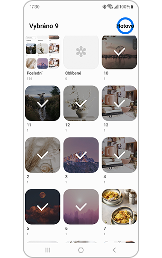 Vybraná alba k zobrazení v Galerii.