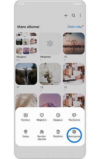 Galerijos nustatymų piktogramos vaizdas paryškintas.