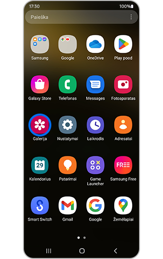 Galerijos programėlės piktogramos pagrindiniame ekrane rodinys.