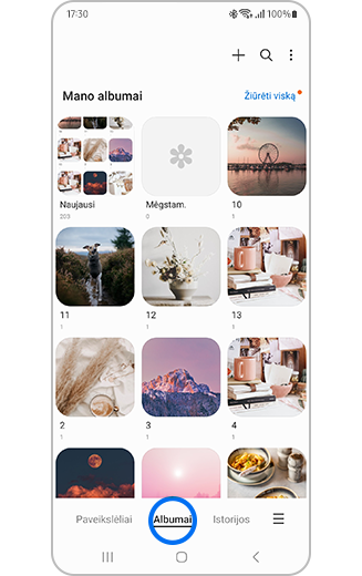Albumų skirtuko galerijoje rodinys.