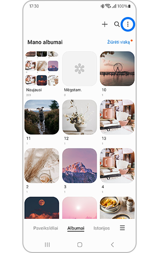 Daugiau parinkčių piktogramos albumo skyriuje rodinys.