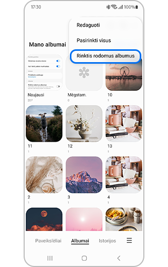 Funkcijos „Pasirinkti albumus, kurie bus rodomi“ daugiau parinkčių rodinys.