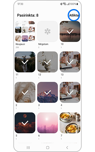 Pasirinktų galerijoje rodyti albumų rodinys.