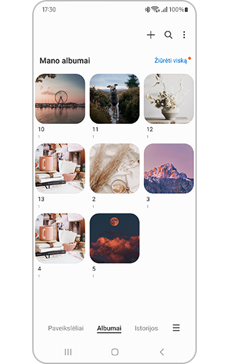 Pasirinktų albumų baigus atrankos procesą rodinys.