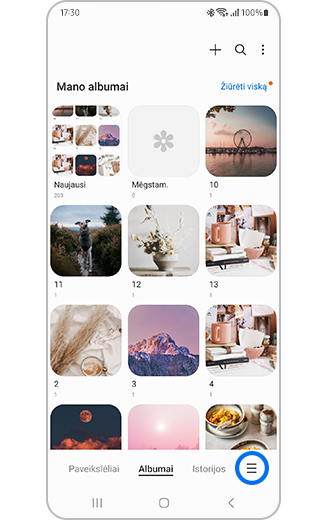 Daugiau parinkčių piktogramos albumo skyriuje rodinys.