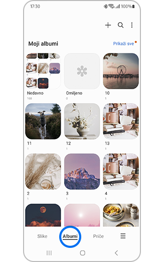 Prikaz kartice Albumi u galeriji.