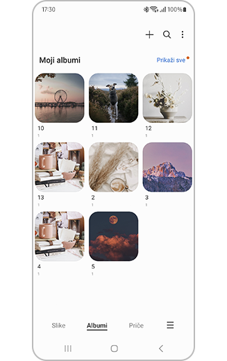 Prikaz odabranih albuma po završetku procesa odabira.