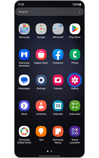 View of Gallery icon.