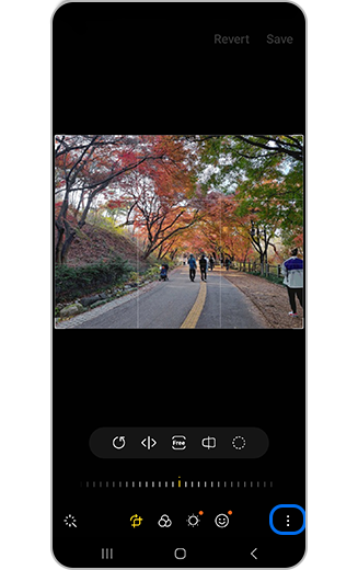 View of more icon in Edit image.