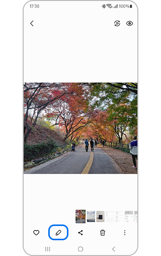 Visning med Redigeringsikon fremhævet.