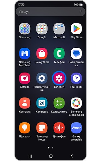 Вигляд іконки галереї.