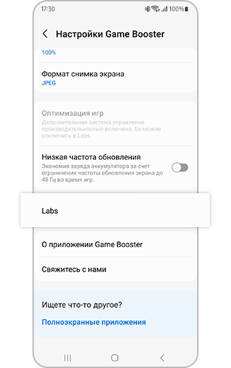Вид пункта Labs в настройках режима производительности в играх.
