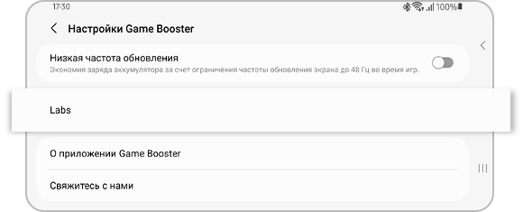 Вид пункта Labs в настройках режима производительности в играх.