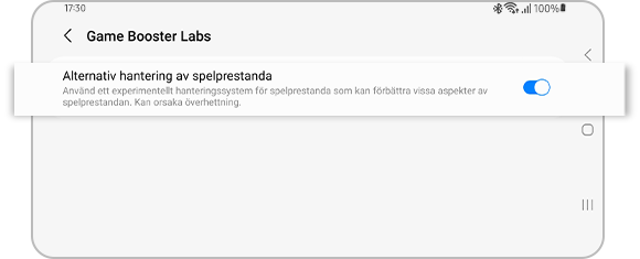 Vy av alternativa speloptimeringsval.