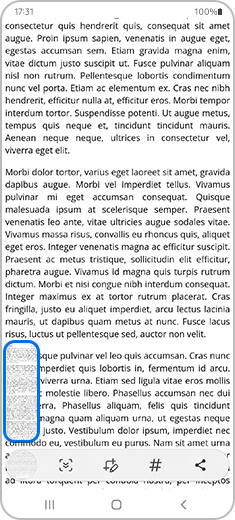 Ekrano nuotraukos pavyzdžio vaizdas apatiniame kairiajame ekrano kampe, virš slinkimo fiksavimo įrankių juostos.