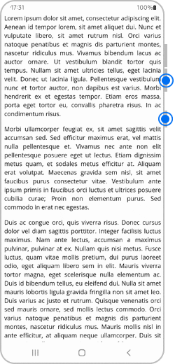 Animācija ar tīmekļa vietnes ekrānuzņēmuma uzņemšanu.